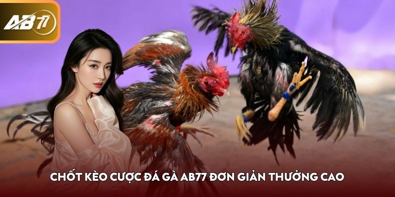 Chốt kèo cược đá gà AB77 đơn giản thưởng cao